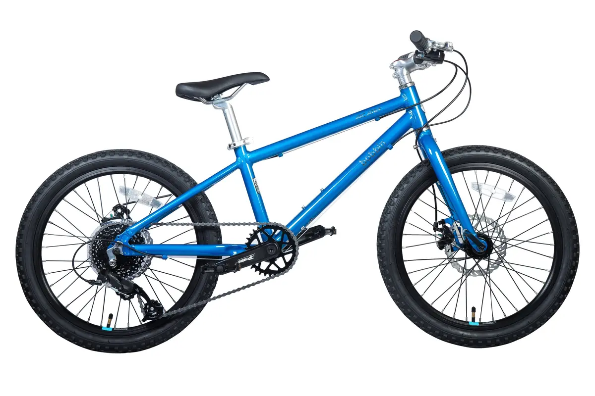 Arcade 20" Wheel Kid's Bike 1