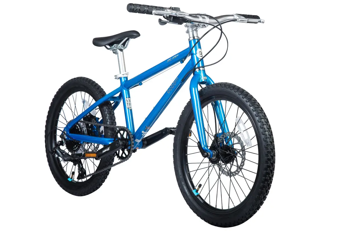 Arcade 20" Wheel Kid's Bike 2