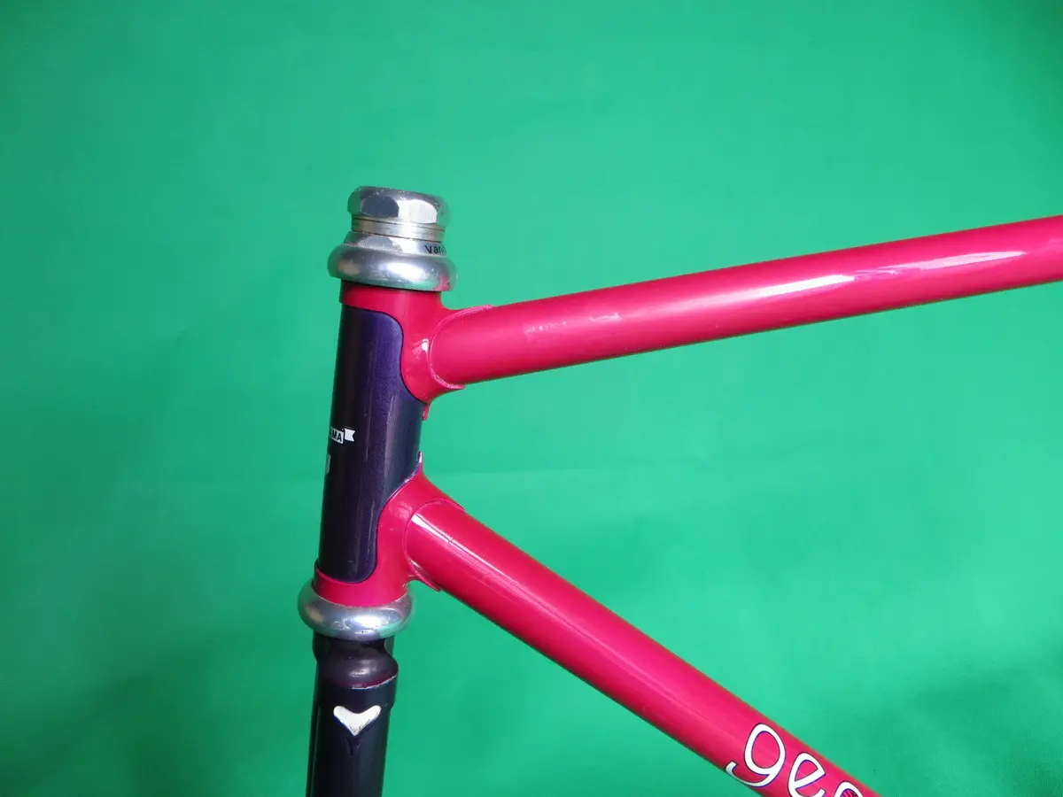 Georama // Ruby Pink + Dark Purple Metallic Two Tone // 53Cm 2