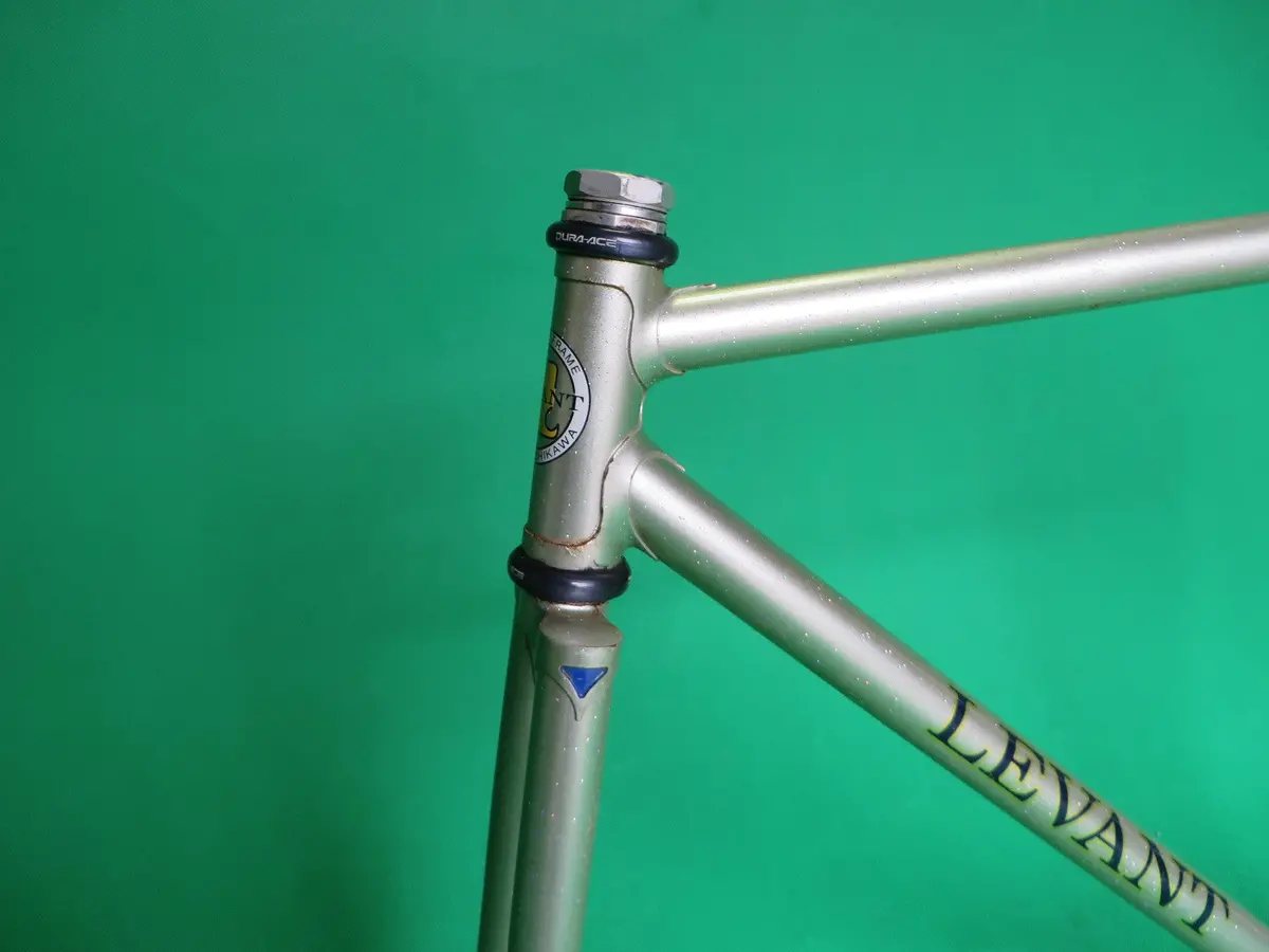 Levant | Champagne Gold | 49.5Cm 2