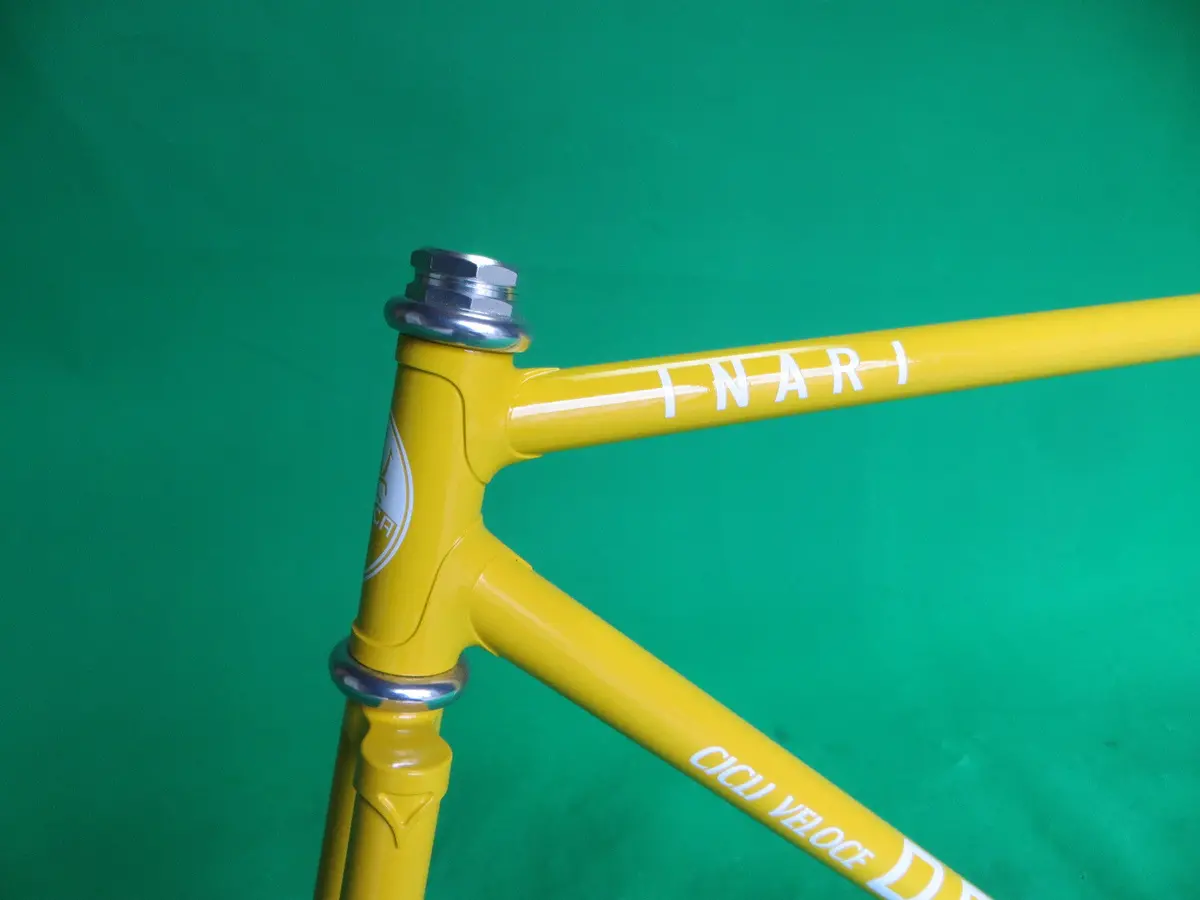 Osca // Yellow // 50Cm 2