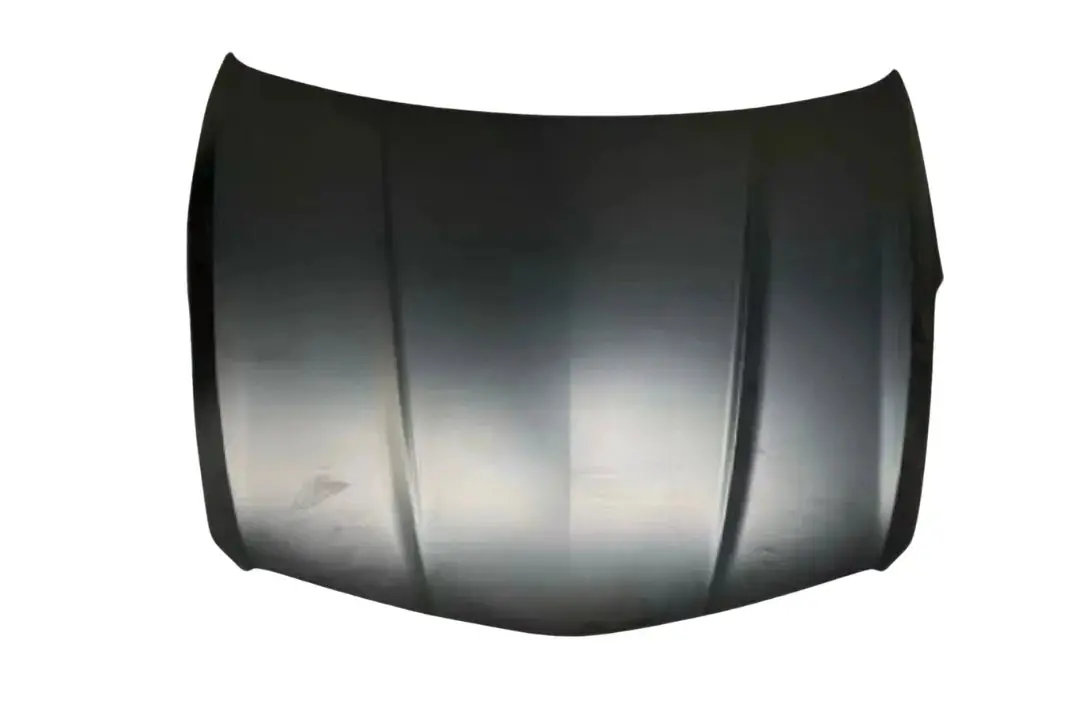 2018-2019 Cadillac Xts : Hood Painted 1