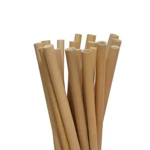 Pailles Bambou 30 Cm - Sachet De 10 1