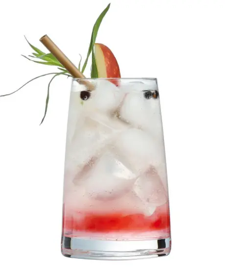 Long Drink Aska 35 Cl De Chef & Sommelier - Boîte De 6 2