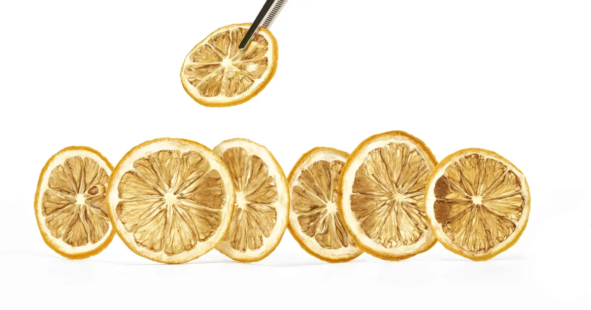 Citrons Déshydratés - Plateau De 295 G 1