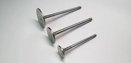 Ferrea Honda B17a1/B18c1/C3 Stock 6000 Series Valve Set (Bseries) 2