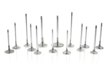 Ferrea Acura K20/K24 6000 Series Valves Set (Kseries) 1