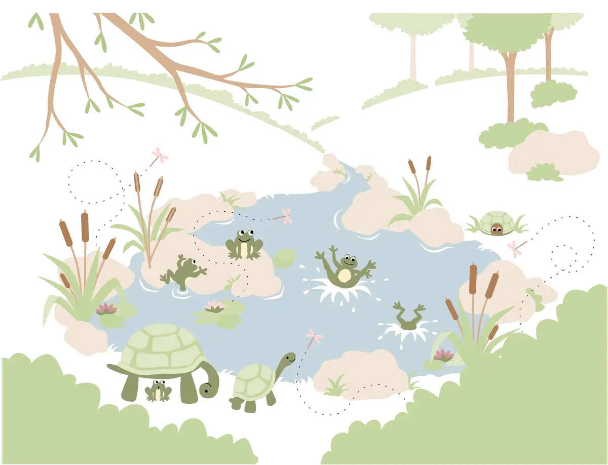 Frogs 'N Turtles Paint-By-Number Wall Mural 1