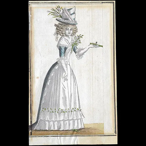 Magasin Des Modes Nouvelles Françaises Et Anglaises, Planche 2, 22Ème Cahier - Jupon Orné De Roses (1789) 1