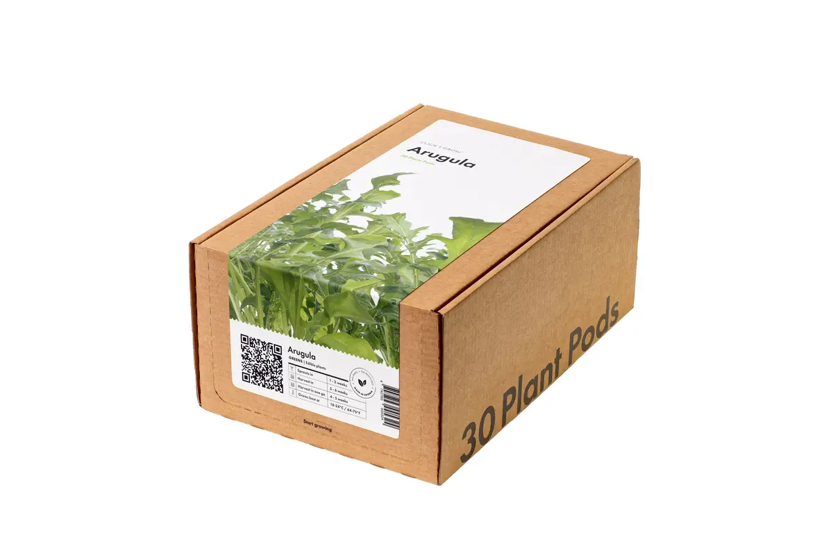 Arugula Plant Pods 30-Pack 1