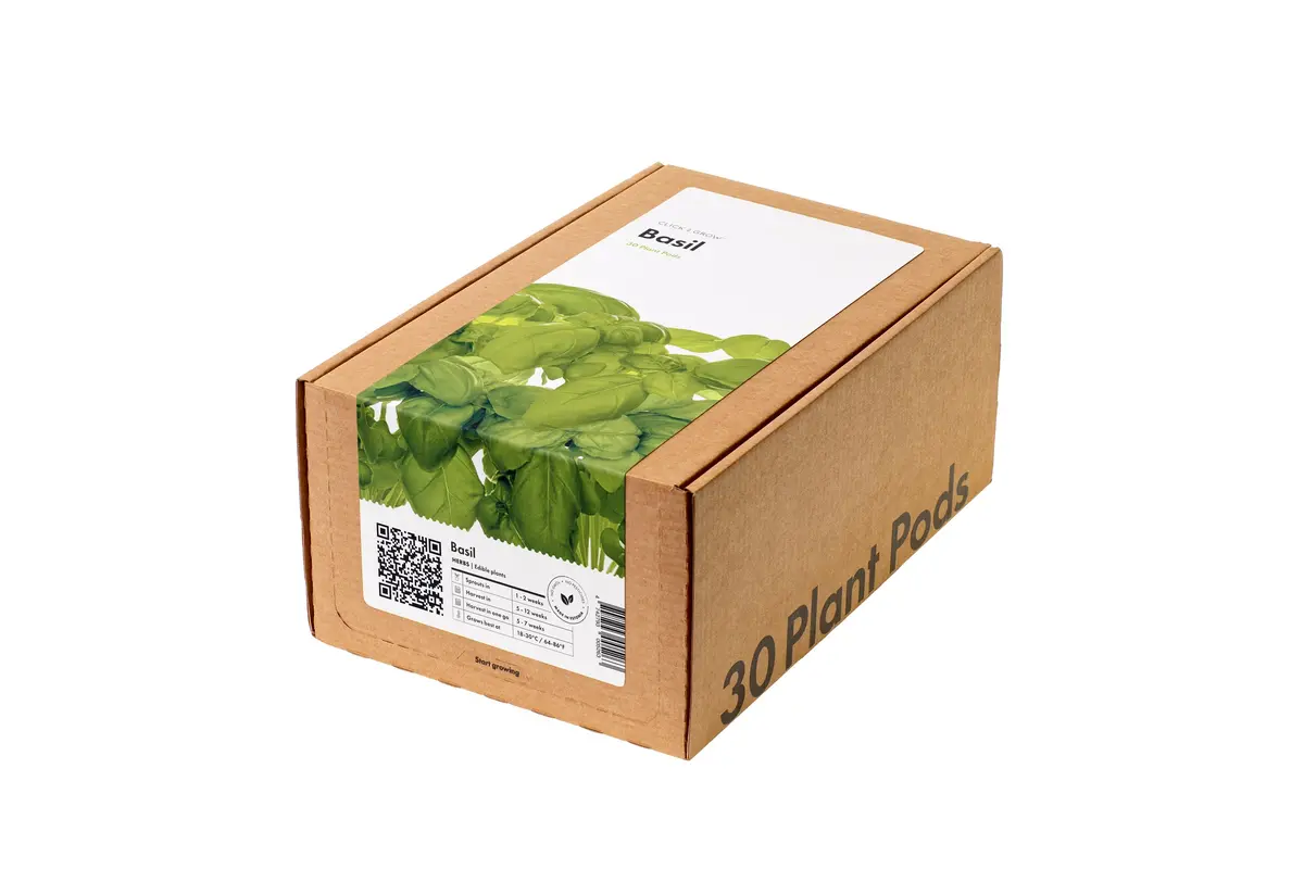 Basil Plant Pods 30-Pack 1