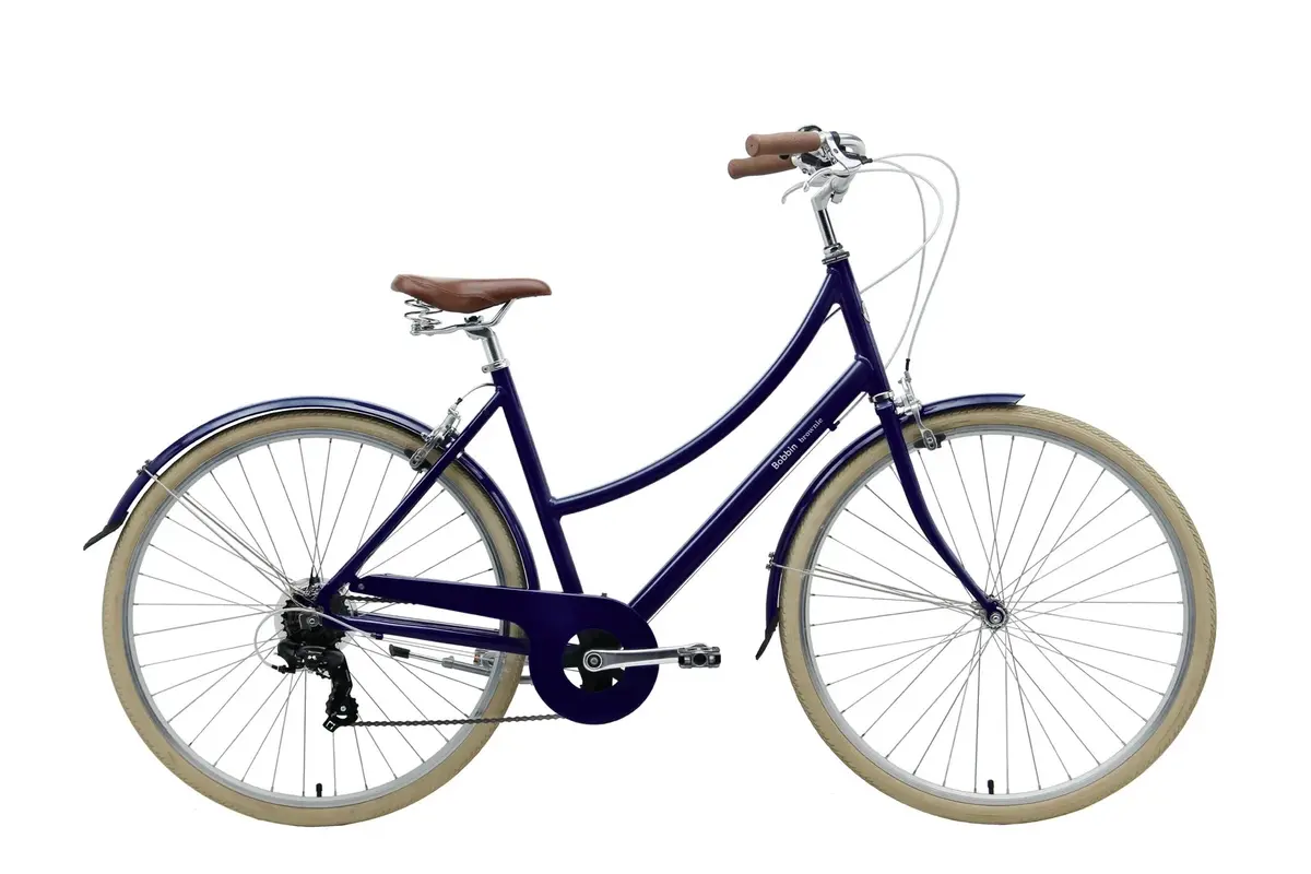 Brownie 7 Dutch Bike 1