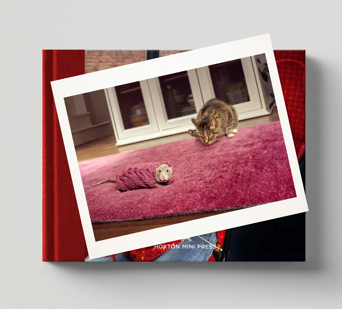 Limited Edition Print (B) + Signed Book: 'Invisible Jumpers' 1
