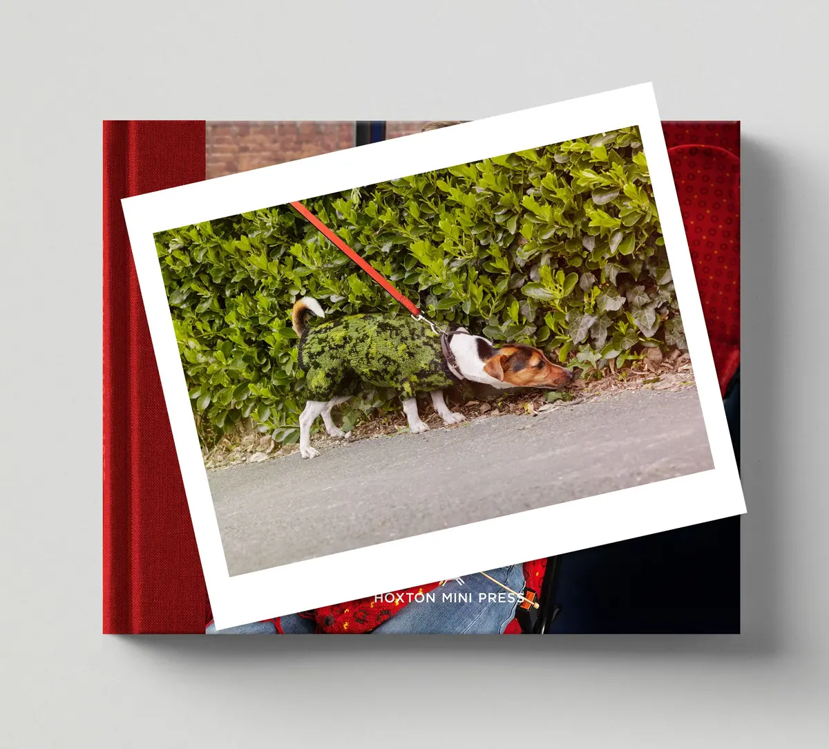 Limited Edition Print (C) + Signed Book: 'Invisible Jumpers' 1