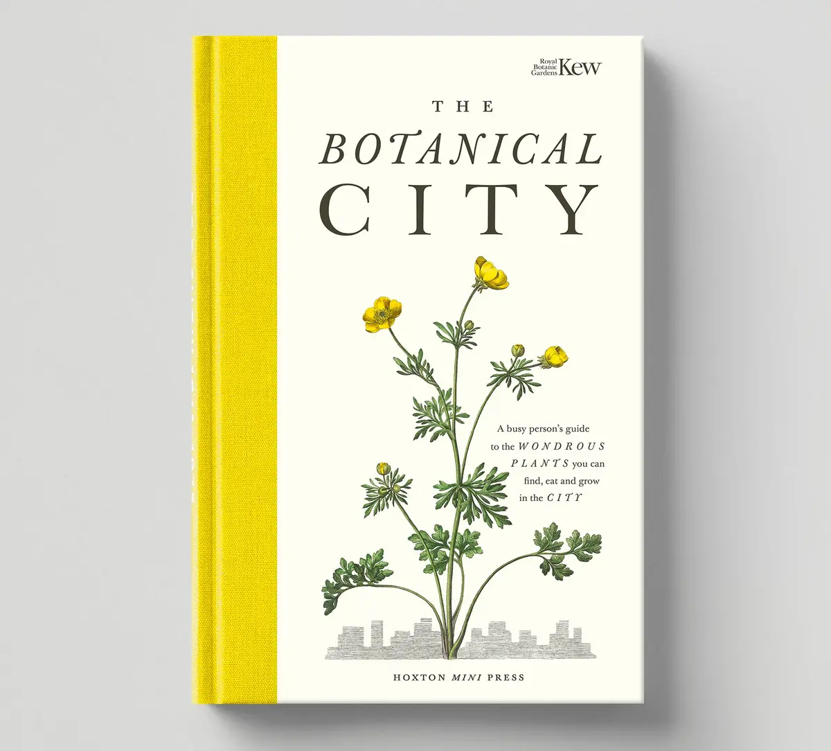 The Botanical City 1
