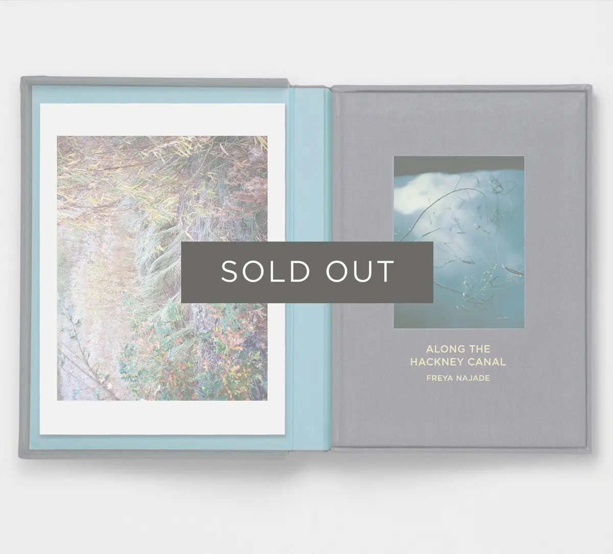 Collector's Edition + Print: Along The Hackney Canal 1