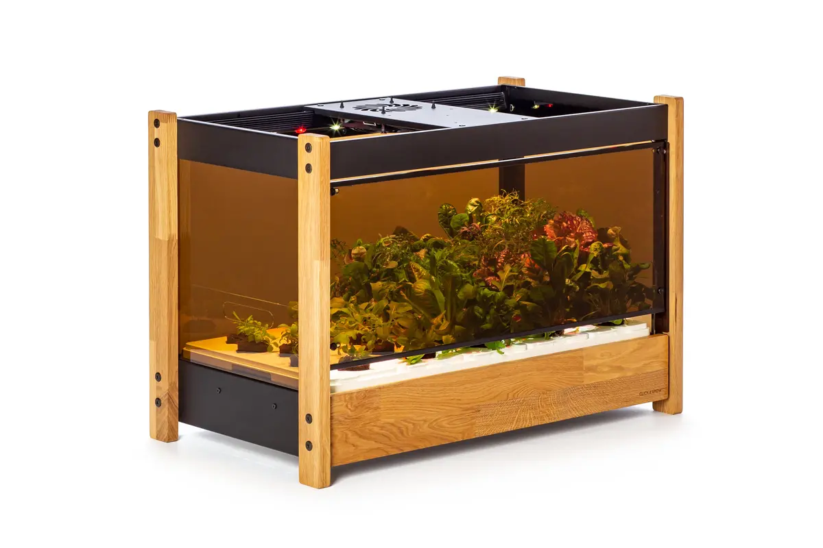 Click & Grow 25 Glass And Fan Kit 1