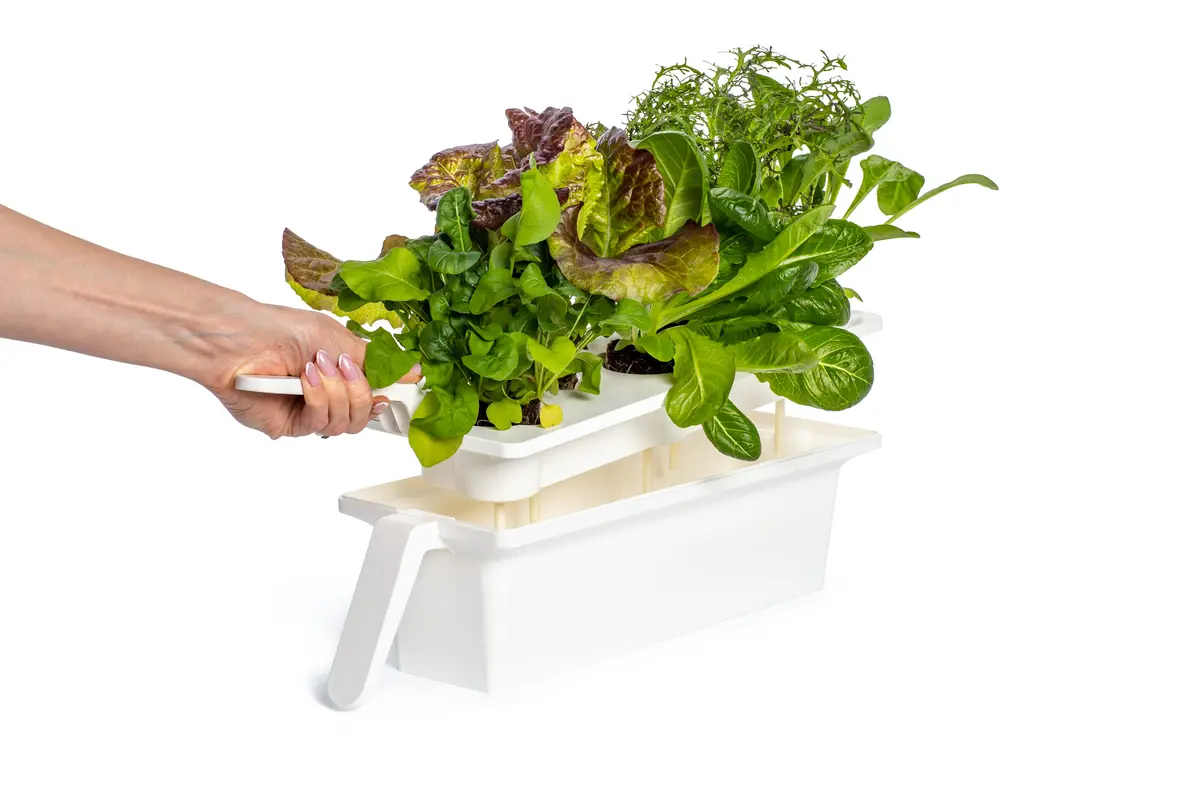 Tray Holder For Click & Grow 25 1