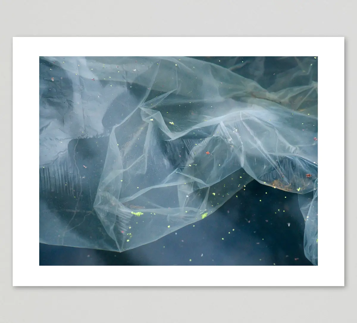 Freya Najade Print 'Plastic' - Limited Edition Of 25 1