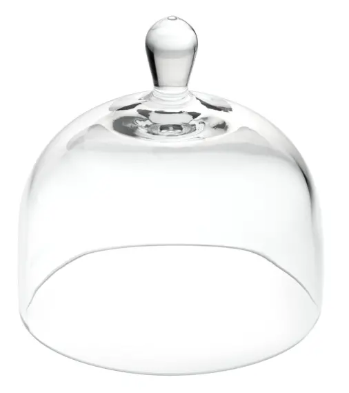 Cloche En Verre 10 Cm 1
