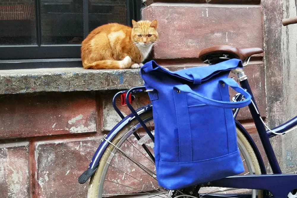 Daytripper Pannier 3