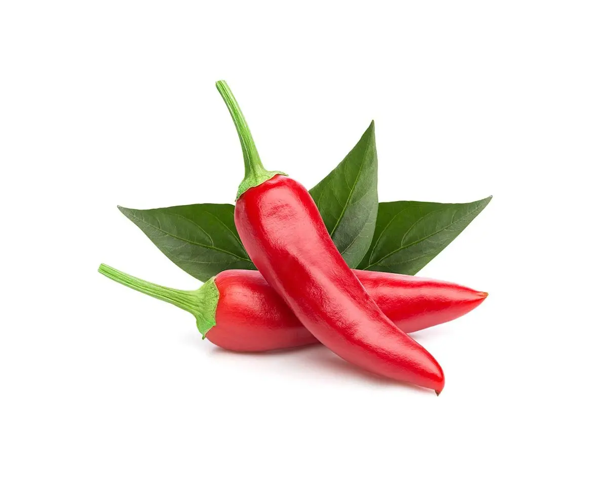 Chili Pepper Plant Pods 3-Pack 1