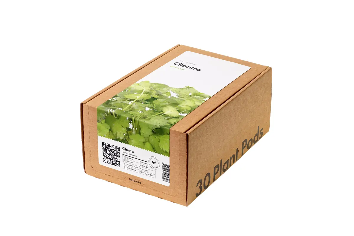 Cilantro (Coriander) Plant Pods 30-Pack 1