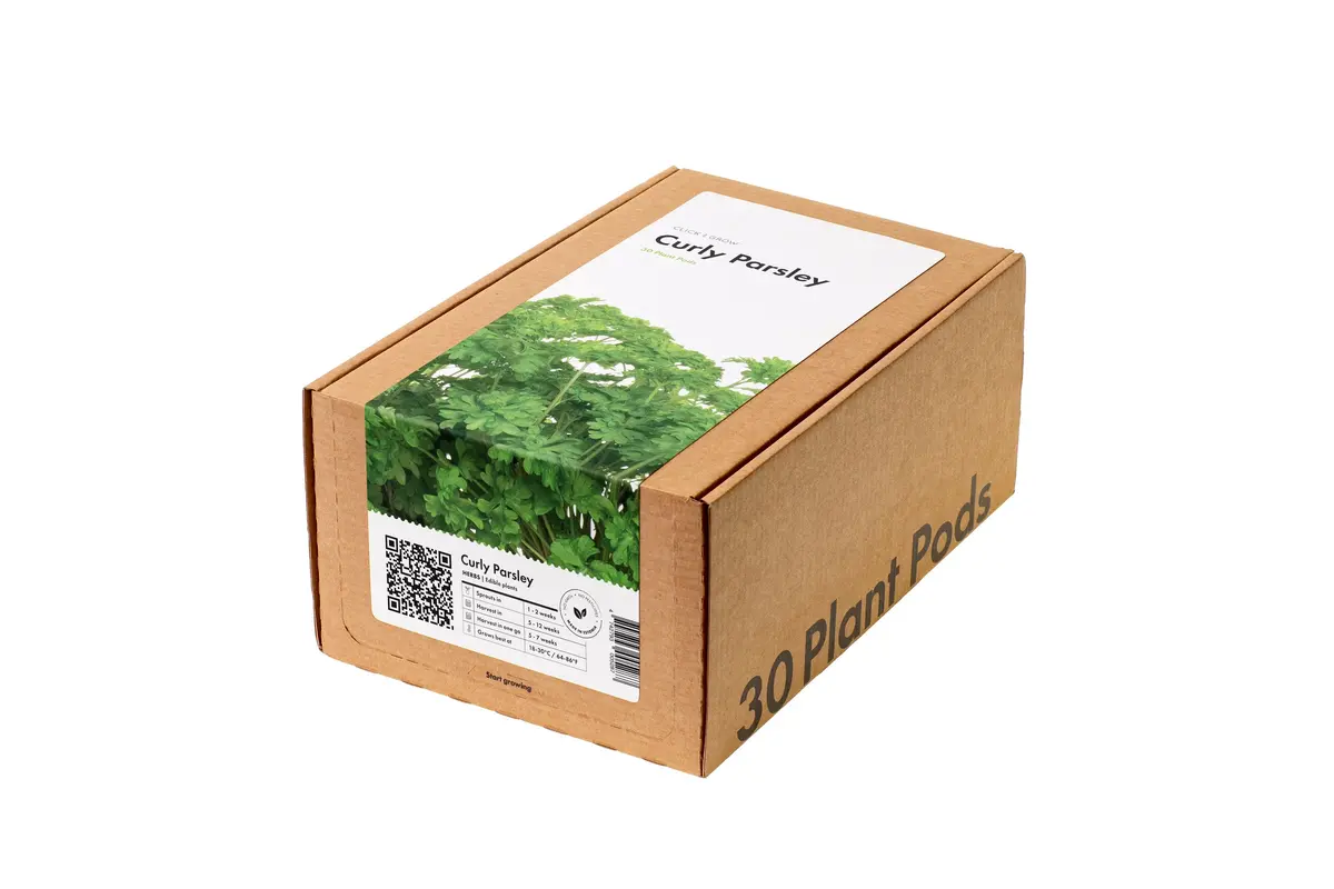 Curly Parsley Plant Pods 30-Pack 1