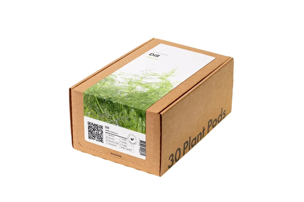 Dill Plant Pods 30-Pack 1