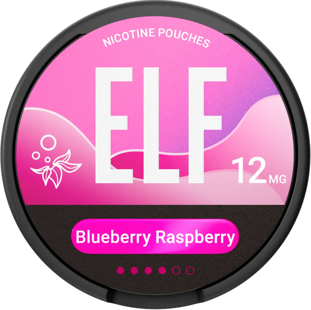 Elf Blueberry Rasperrry Pouches 12Mg 1