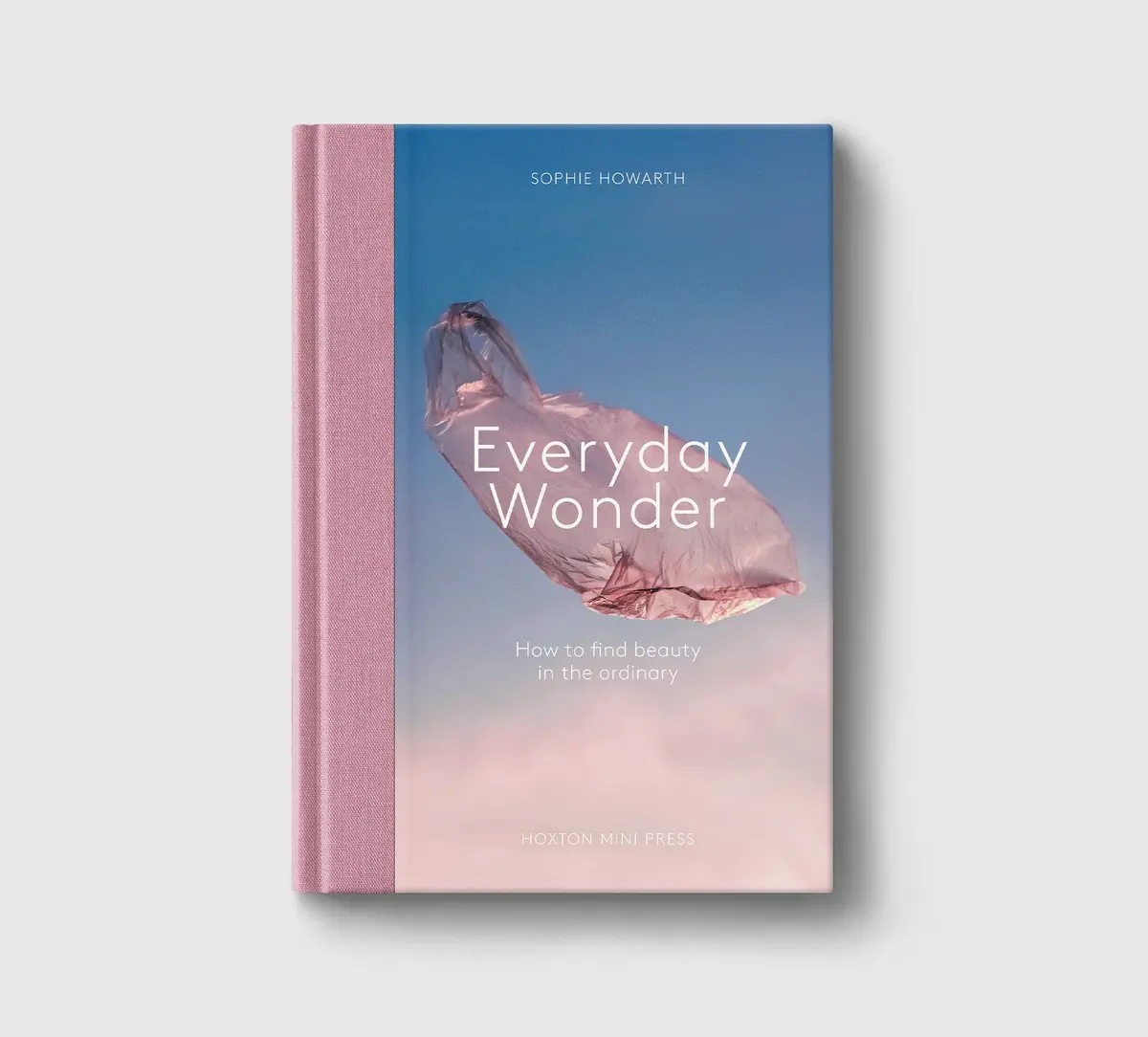 Everyday Wonder 1