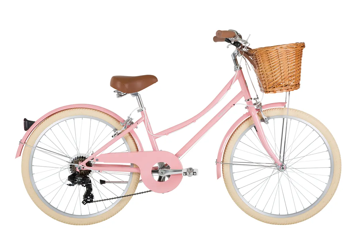 Gingersnap 24" Wheel 1
