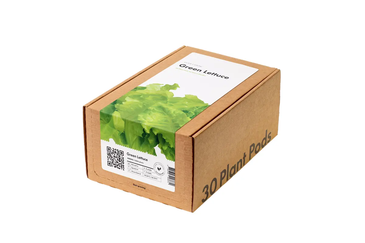 Green Lettuce Plant Pods 30-Pack 1
