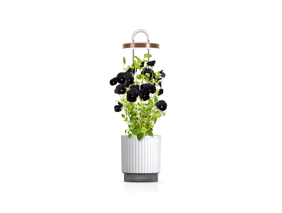 Hydrovase By Ermonix 1