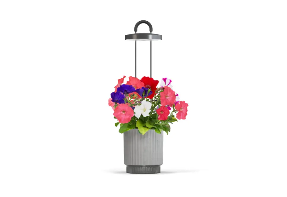 Hydrovase By Ermonix 2