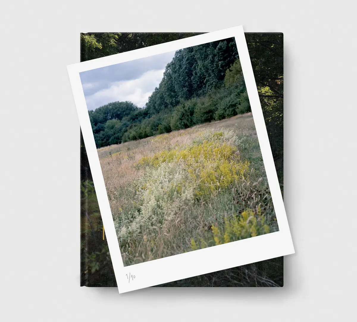 Limited Edition Print (A) + Book: 'The Hackney Marshes' 1