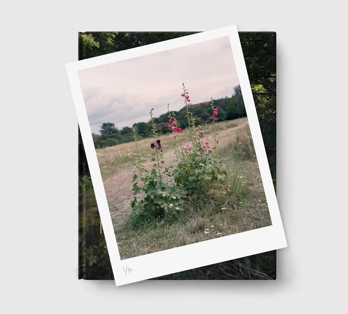 Limited Edition Print (B) + Book: 'The Hackney Marshes' 1