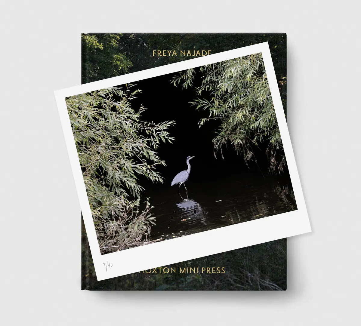 Limited Edition Print (D) + Book: 'The Hackney Marshes' 1