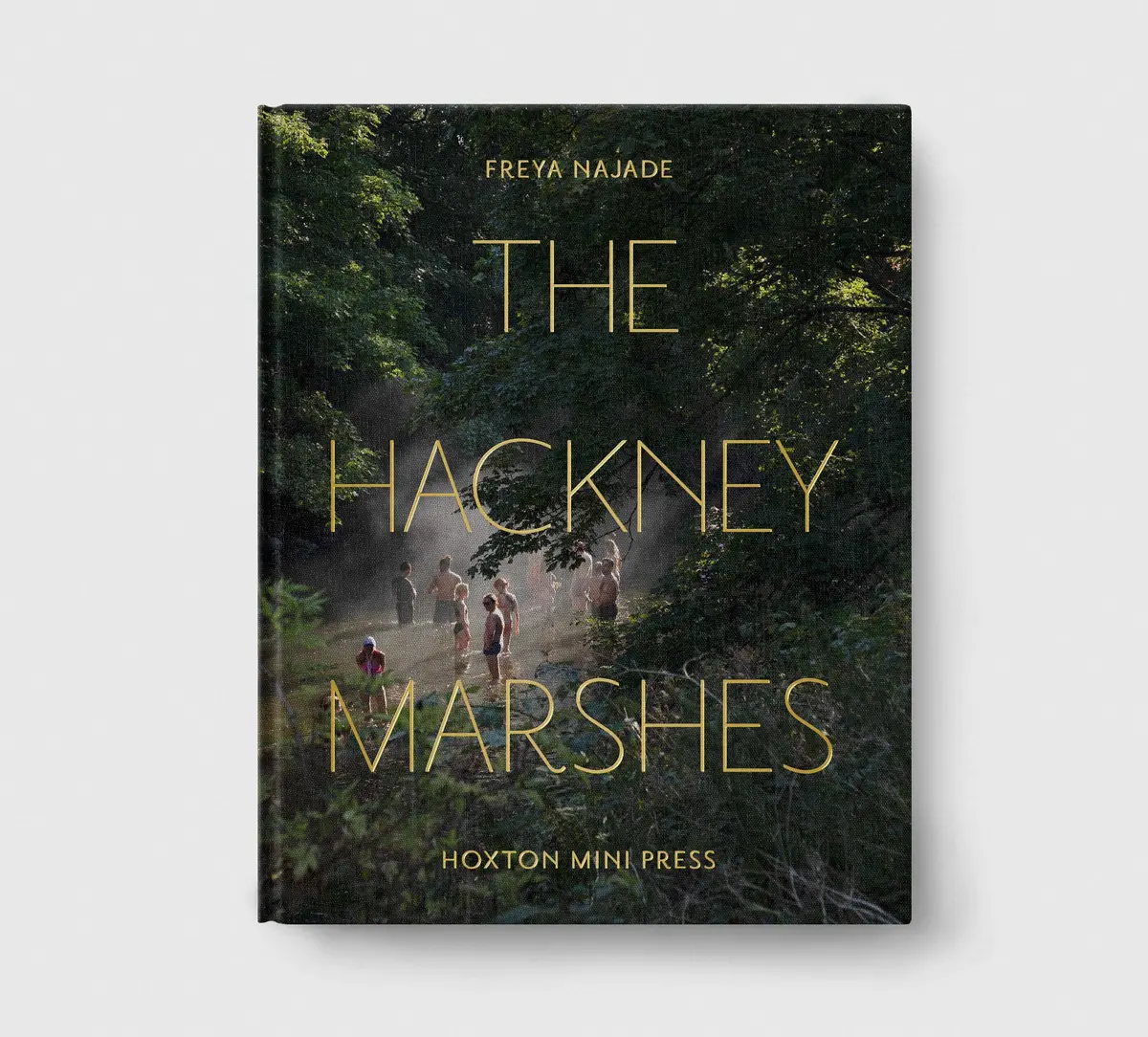 The Hackney Marshes 1
