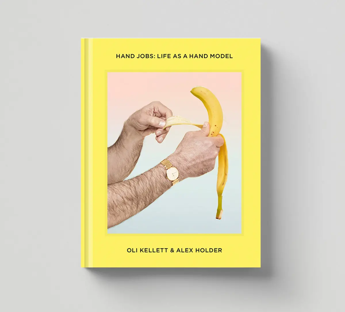Collector's Edition + Print: Hand Jobs: Life As A Hand Model 1