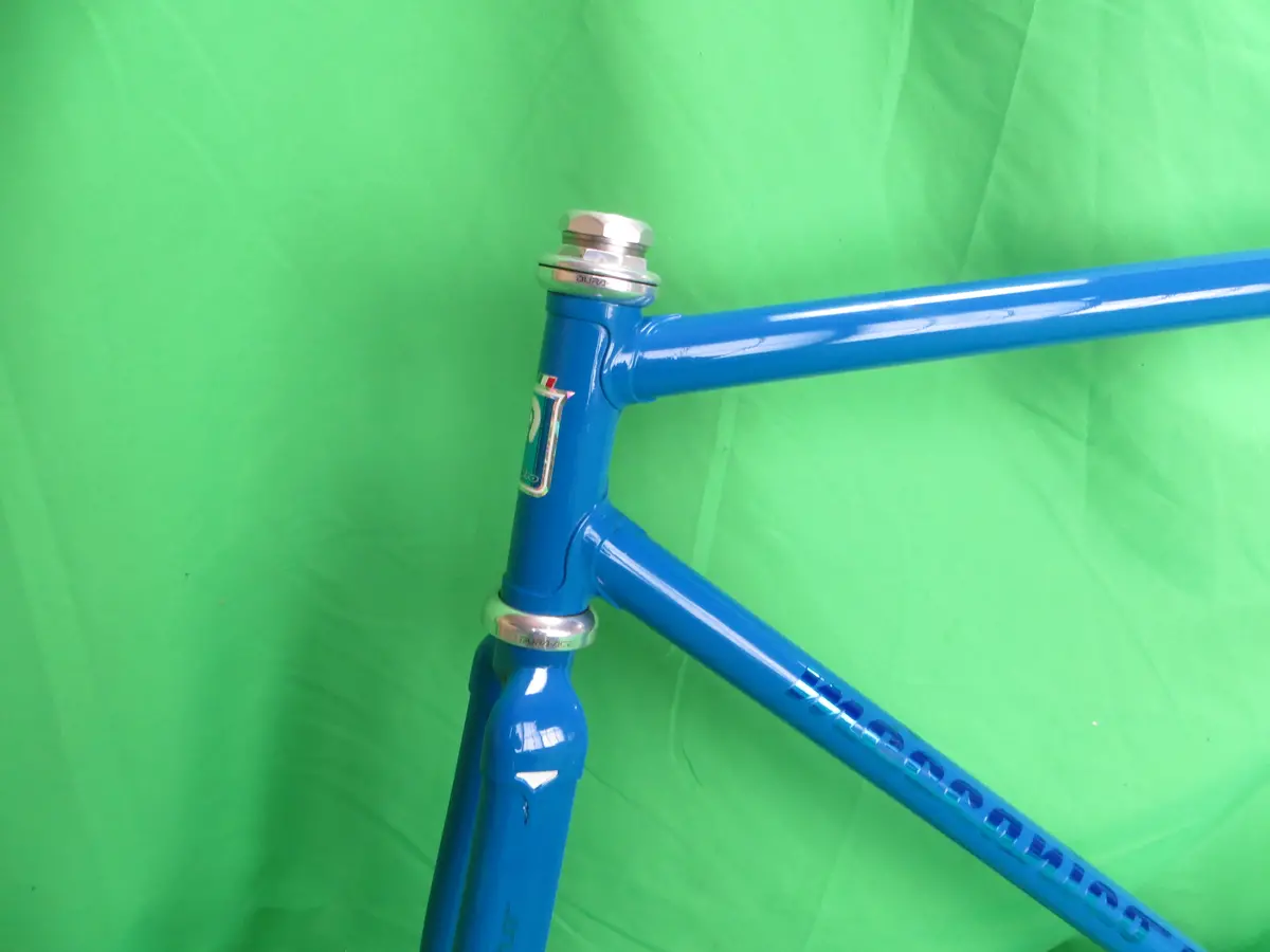 Giro Columbus Max Fork // Blue // 52Cm 2