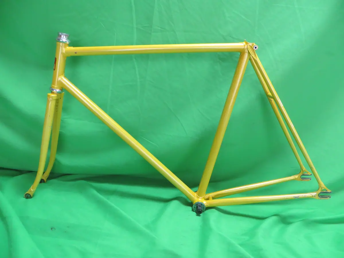Nagasawa // Yellow // 55Cm 1