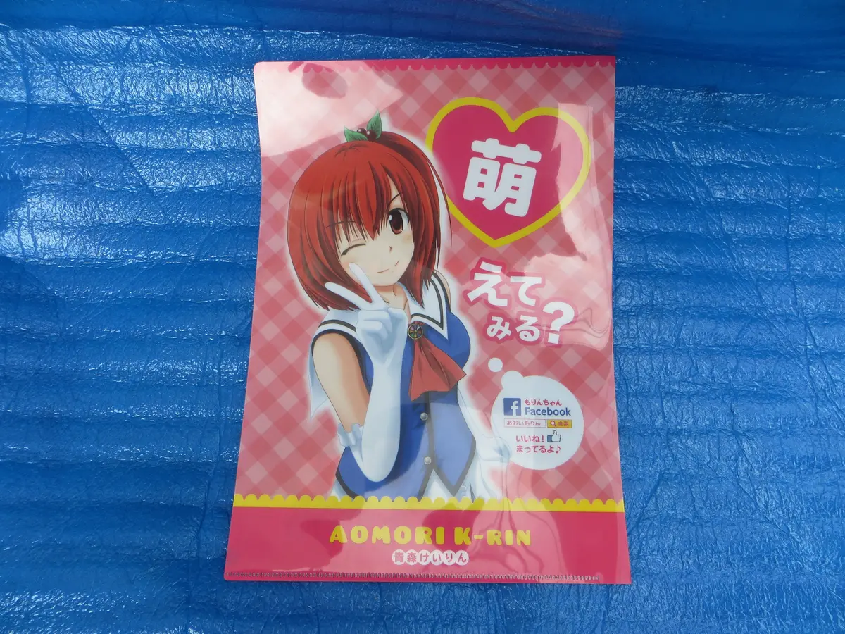 Moe Moe! Rare! Aomori Keirin Yuruchara Aoi Morin Document Holder  /25081301 1