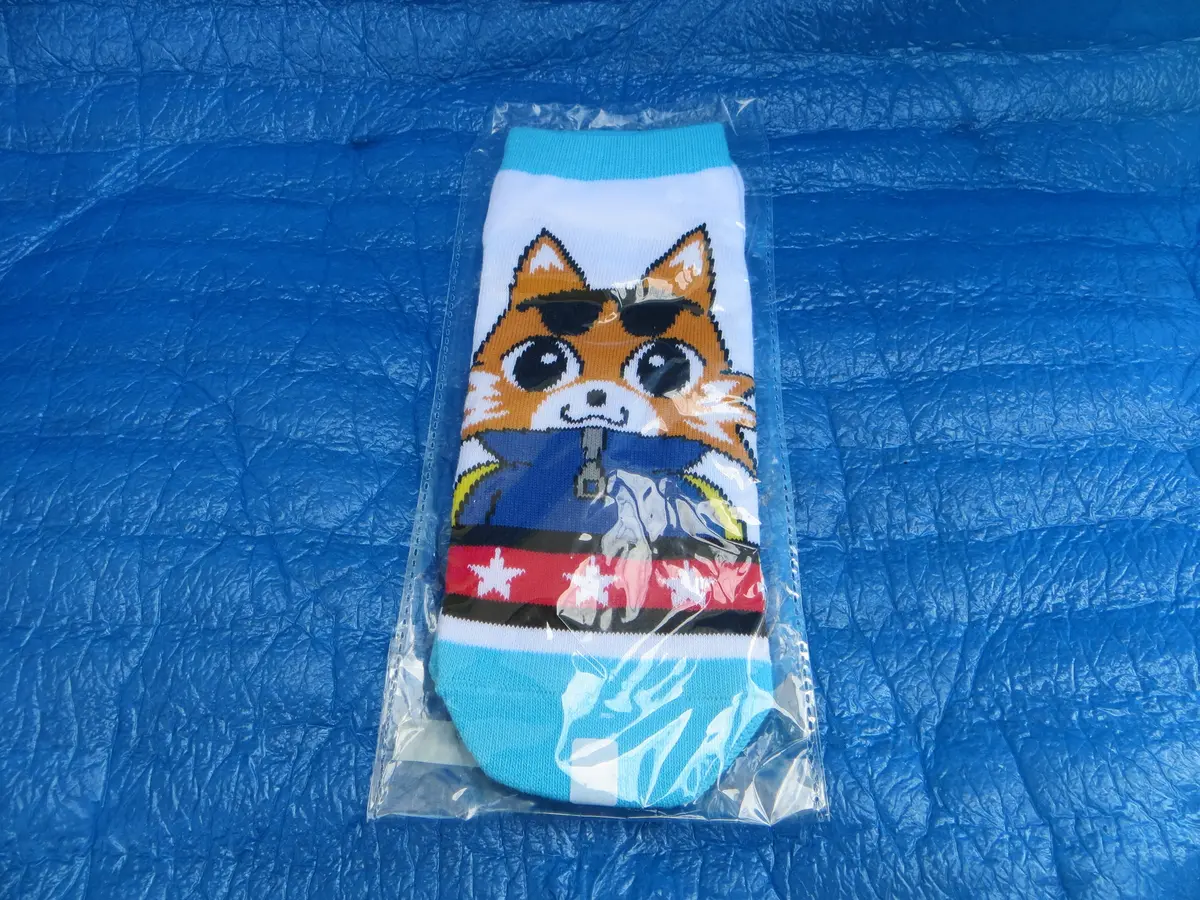 Never Used Official Kawasaki Keirin Sneaker Sox 25-27Cm  /250925 1
