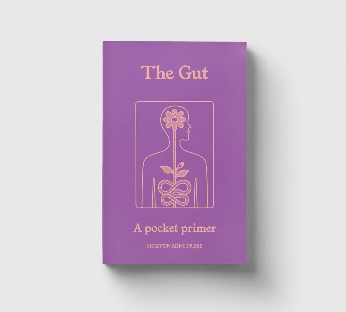 The Gut, A Pocket Primer 1