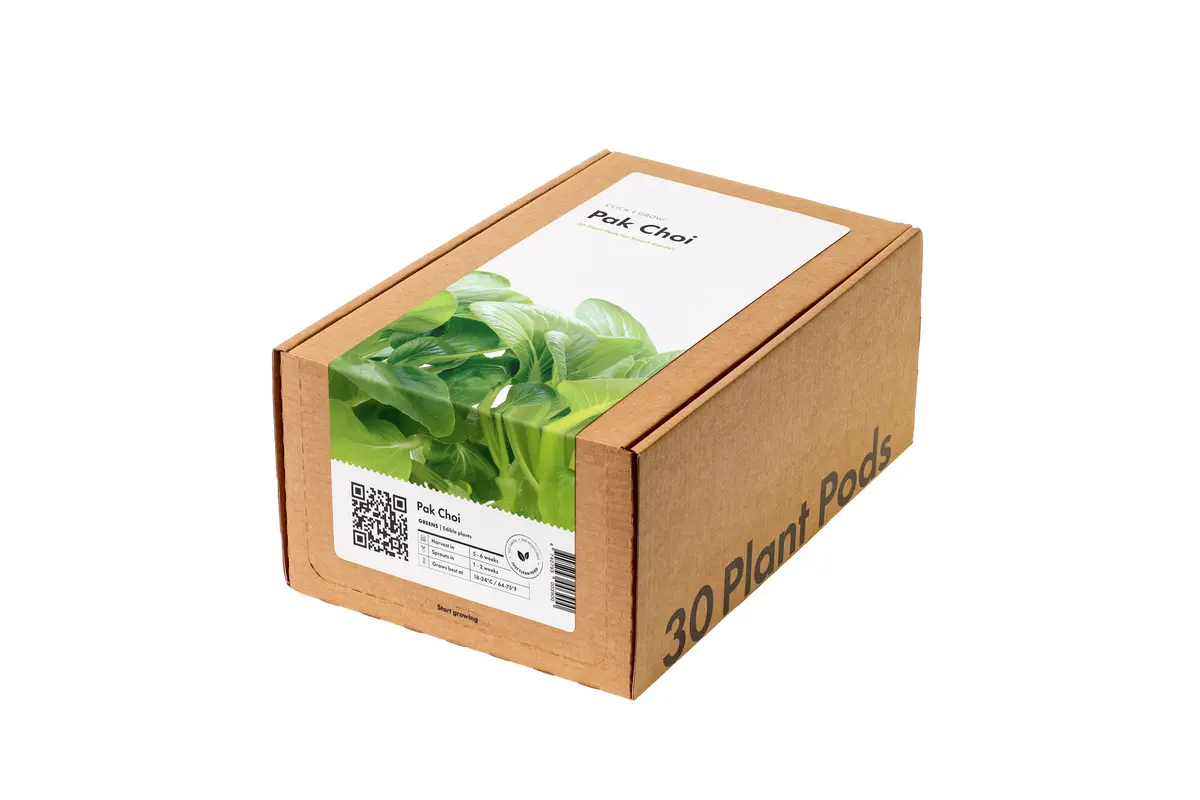 Pak Choi Plant Pods 30-Pack 1
