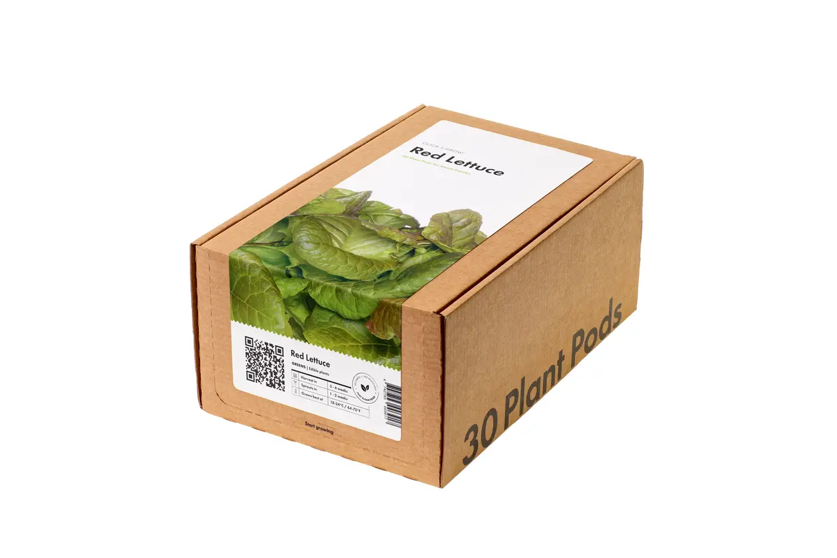 Red Lettuce Plant Pods 30-Pack 1