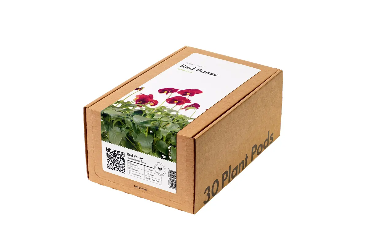 Red Pansy Plant Pods 30-Pack 1