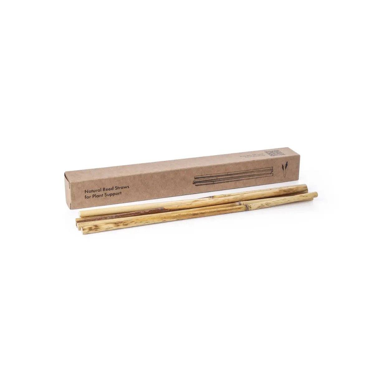 Natural Reed Straws - True Support (10 Pcs) 1