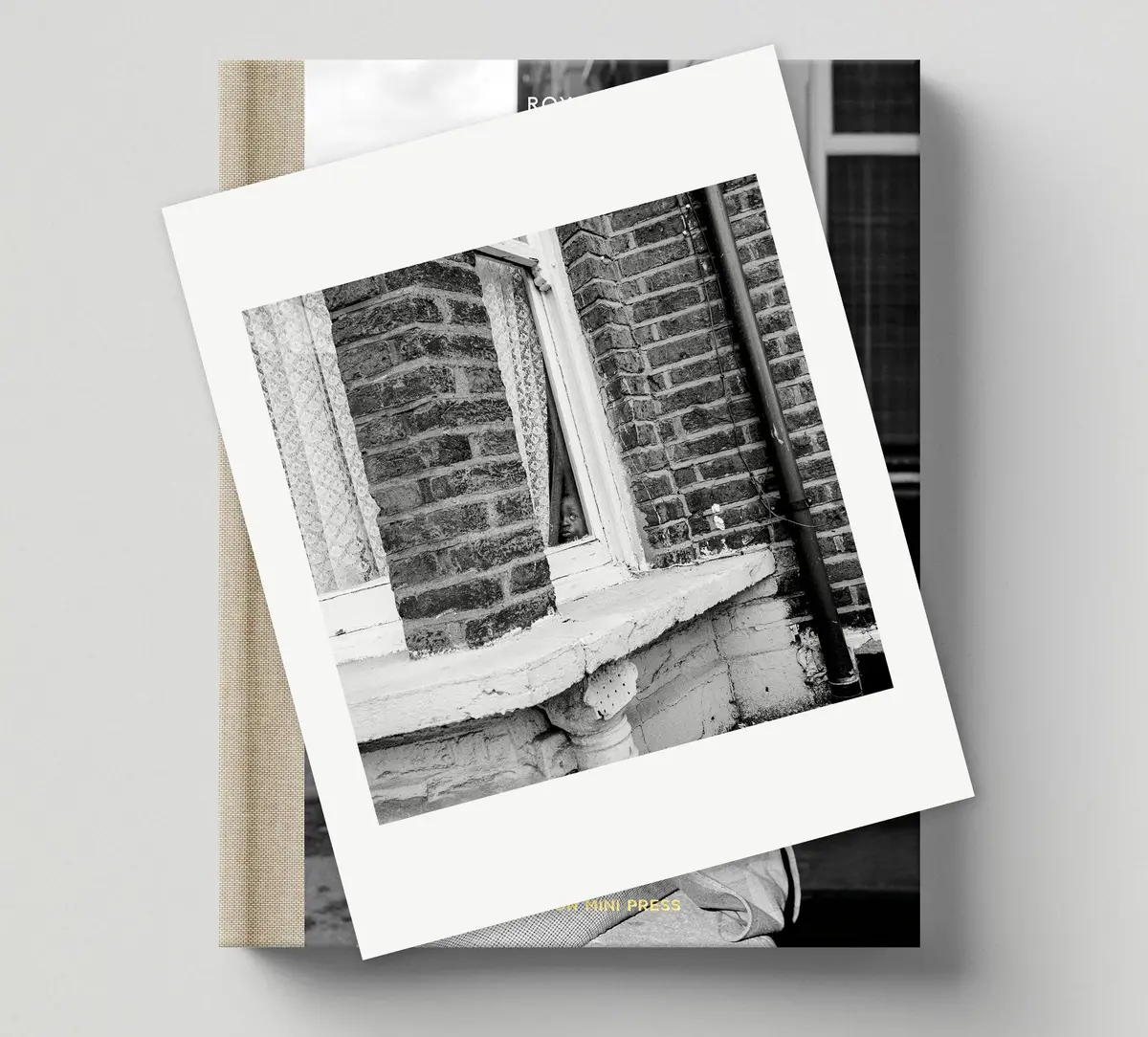 Limited Edition Print (D) + Book: 'Revival' 1